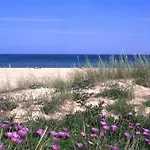Lagosmar Story 2*
